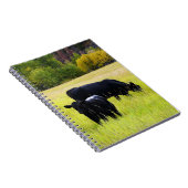 Schwarzes Angus-Vieh, das auf dem gelben Notizblock (Rechte Seite)