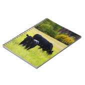 Schwarzes Angus-Vieh, das auf dem gelben Notizblock (Linke Seite)