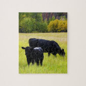 Schwarzes Angus-Vieh, das auf dem gelben Puzzle (Vertikal)