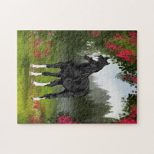 Schwarzes Arabisches Pferd auf der Weide im Frühli Puzzle (Horizontal)