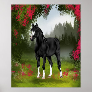 Schwarzes arabisches Pferd auf einer Frühlingswies Poster