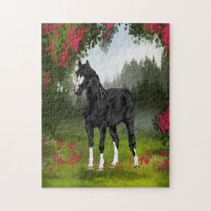 Schwarzes arabisches Pferd Frühjahrsweide Equine K Puzzle