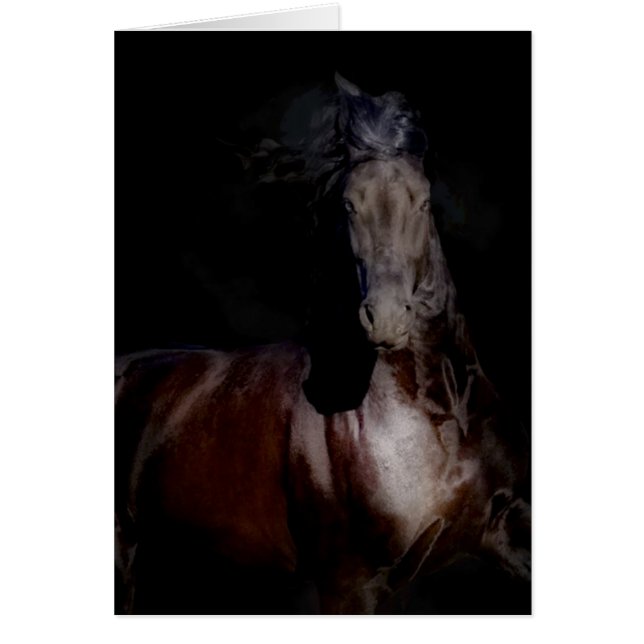 Schwarzes auf Schwarzem (Vorne)