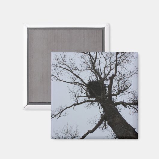 Schwarzes Bach-Nest Magnet (Vorderseite/Rückseite)