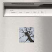 Schwarzes Bach-Nest Magnet (In Situ (Geschirrspüler))