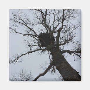 Schwarzes Bach-Nest Magnet