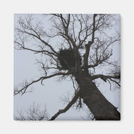 Schwarzes Bach-Nest Magnet (Vorne)
