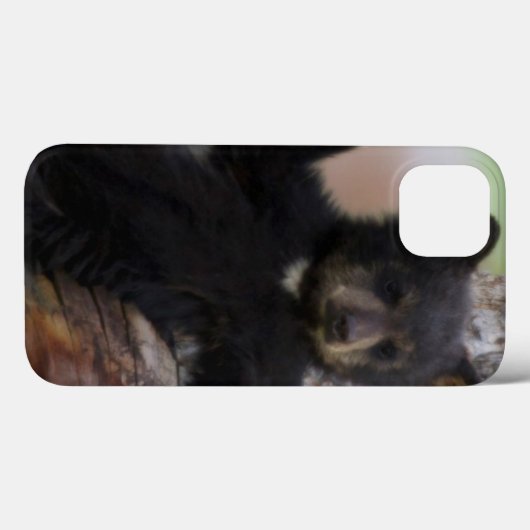 Schwarzes Bärenjunges Lounging Case-Mate iPhone Hülle (Rückseite (Horizontal))