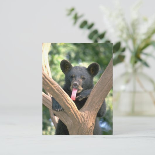 Schwarzes Bärenjunges Postkarte (Stehend Vorderseite)