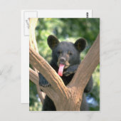 Schwarzes Bärenjunges Postkarte (Vorne/Hinten)