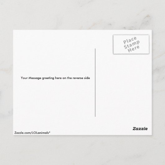 Schwarzes Bärenjunges Postkarte (Rückseite)