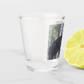 Schwarzes Bärenschuss Schnapsglas (Links)