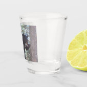 Schwarzes Bärenschuss Schnapsglas (Rechts)