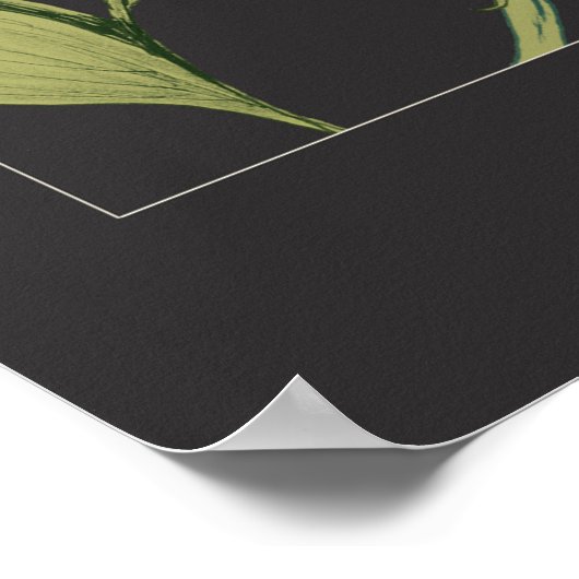 Schwarzes Botanisches Mauerwerk Poster (Ecke)