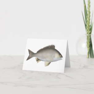 Schwarzes Bream