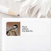 Schwarzes Capped Chickadee-Schnee-Foto (Insitu)