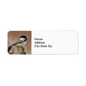 Schwarzes Capped Chickadee-Schnee-Foto (Vorne)