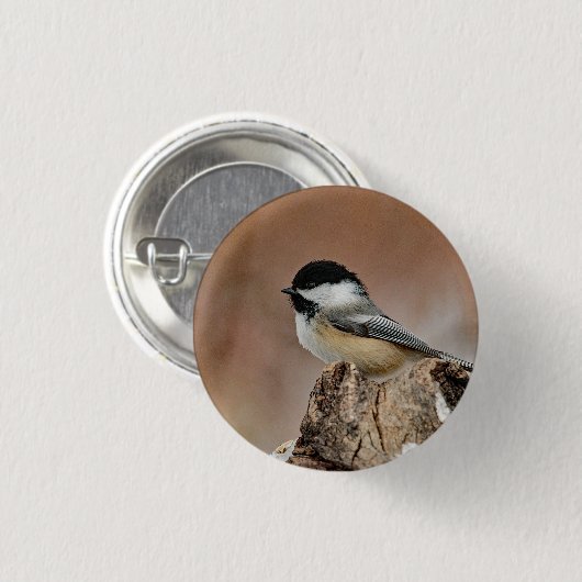 Schwarzes Capped Chickadee-Schnee-Foto Button (Vorne & Hinten)