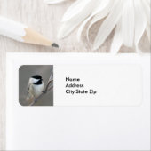 Schwarzes Chickadee-Foto (Insitu)