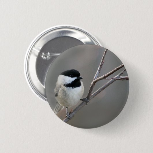 Schwarzes Chickadee-Foto Button (Vorne & Hinten)