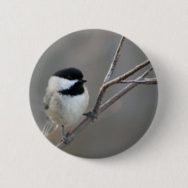 Schwarzes Chickadee-Foto Button