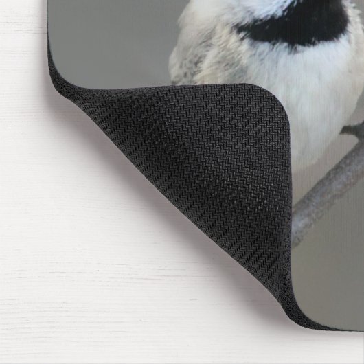 Schwarzes Chickadee-Foto Mousepad (Ecke)