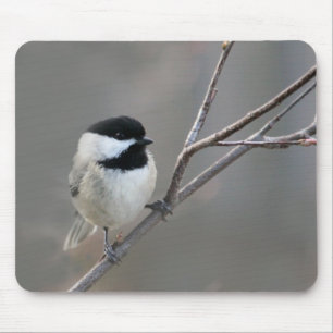 Schwarzes Chickadee-Foto Mousepad
