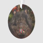 Schwarzes Chow-Chow Hundweihnachten Ornament (Vorderseite)