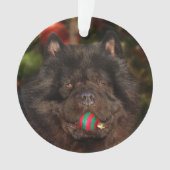 Schwarzes Chow-Chow Hundweihnachten Ornament (Vorderseite)
