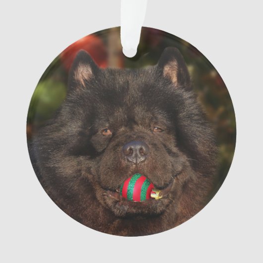 Schwarzes Chow-Chow Hundweihnachten Ornament (Vorderseite)
