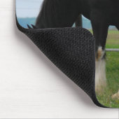 Schwarzes Clydesdale und Stutenfohlen Mousepad (Ecke)