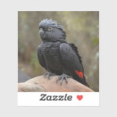 Schwarzes Cockatoo Aufkleber (Blatt)