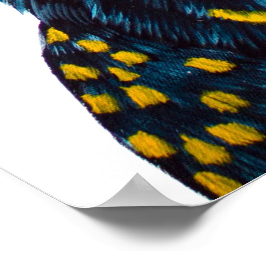 Schwarzes Cockatoo-Gemälde Poster (Ecke)