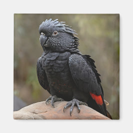 Schwarzes Cockatoo Magnet