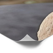 Schwarzes Cockatoo Poster (Ecke)