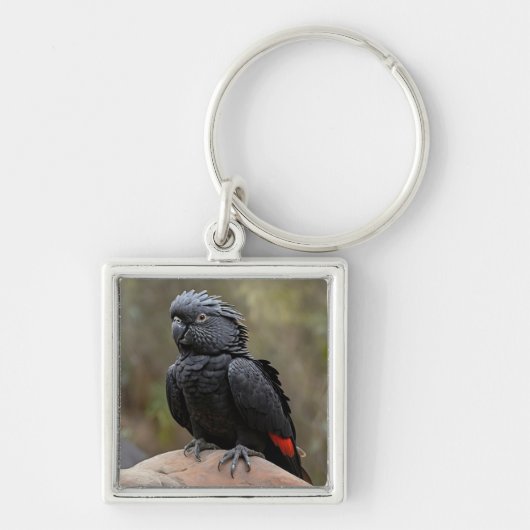Schwarzes Cockatoo Schlüsselanhänger (Vorne)