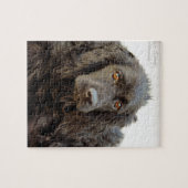 Schwarzes Cocker spaniel "Harley " Puzzle (Horizontal)