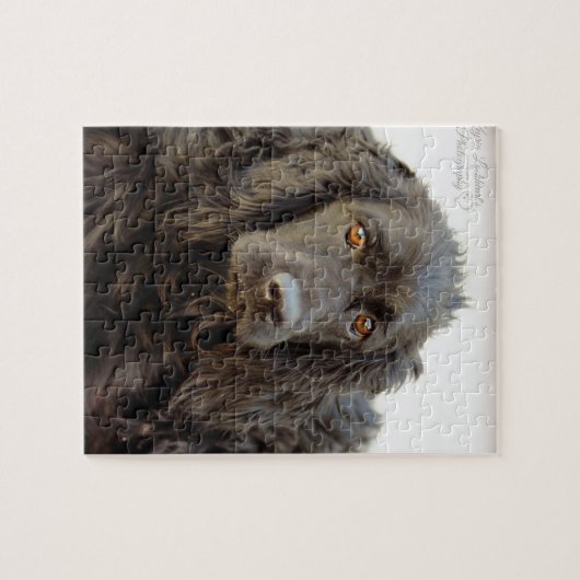 Schwarzes Cocker spaniel "Harley " Puzzle (Horizontal)