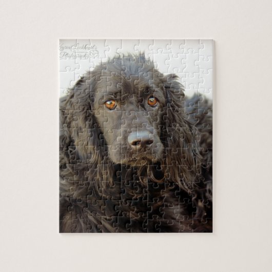 Schwarzes Cocker spaniel "Harley " Puzzle (Vertikal)