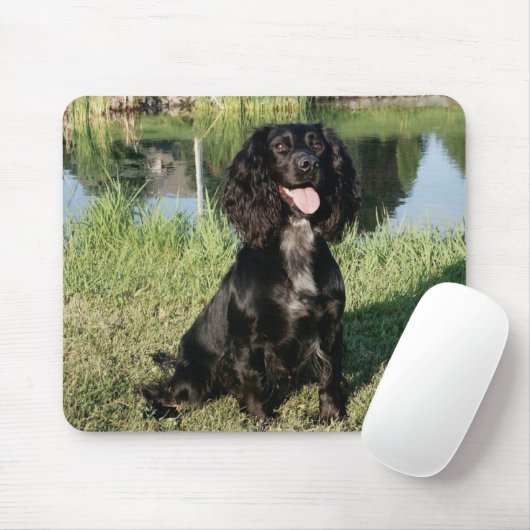 Schwarzes Cocker spaniel-Hündchen Mousepad (Mit Mouse)