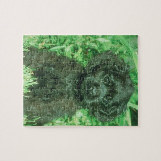 Schwarzes Cocker spaniel-Hündchen-Puzzlespiel Puzzle (Horizontal)