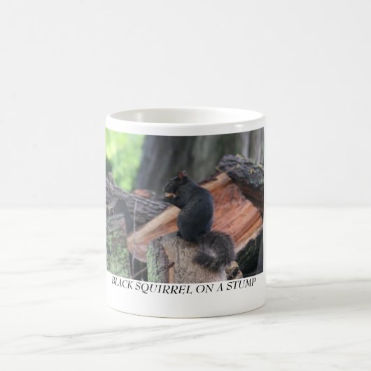 SCHWARZES EICHHÖRNCHEN AUF EINEM STUMPF KAFFEETASSE (Mittel)