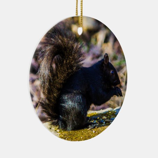 Schwarzes Eichhörnchen Keramik Ornament (Rechts)
