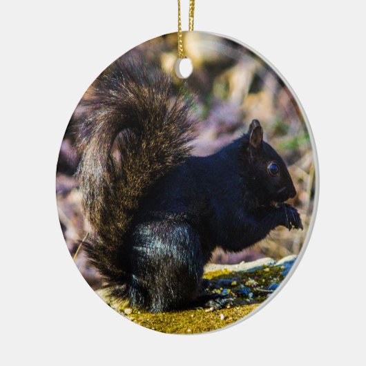 Schwarzes Eichhörnchen Keramik Ornament (Links)