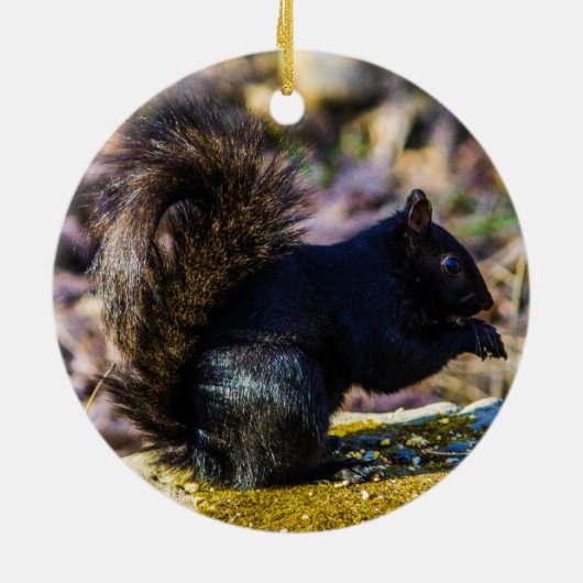 Schwarzes Eichhörnchen Keramik Ornament (Hinten)