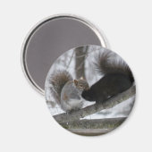 Schwarzes Eichhörnchen Magnet (Vorderseite/Rückseite)