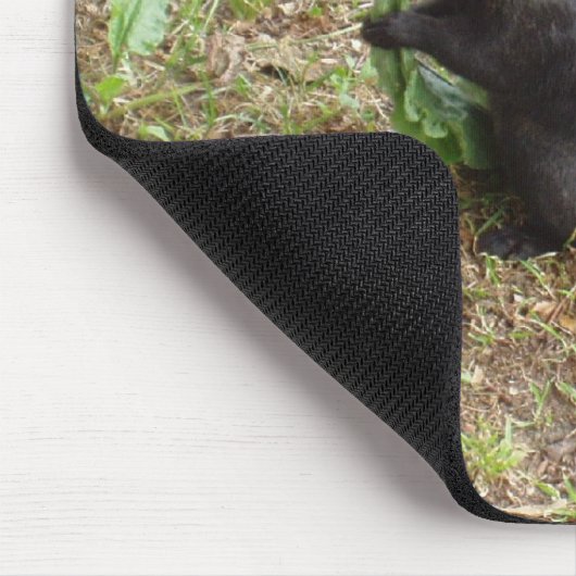 Schwarzes Eichhörnchen Mousepad (Ecke)