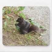 Schwarzes Eichhörnchen Mousepad (Vorne)