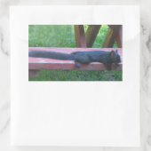 Schwarzes Eichhörnchen Rechteckiger Aufkleber (Tasche)