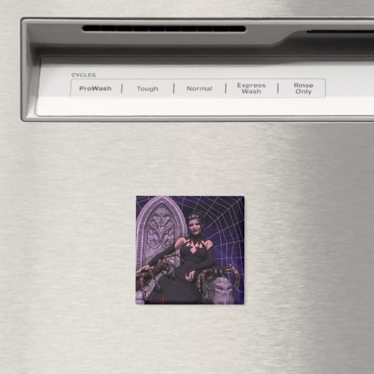 Schwarzes Fenster Magnet (In Situ (Geschirrspüler))